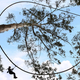 Illustration for article titled The Worlds Longest Zip Line Roller Coaster Looks Terrifyingly Awesome